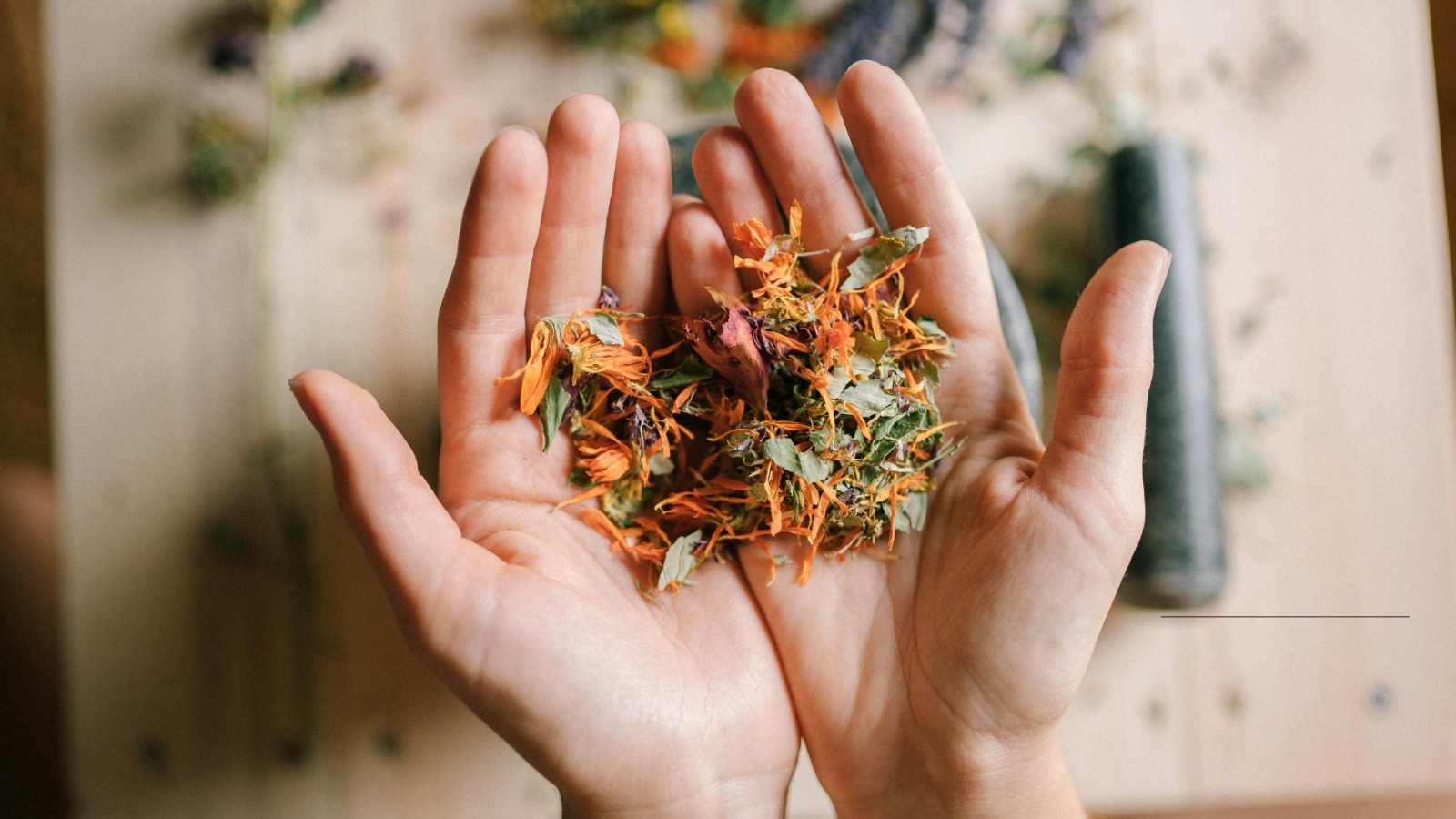 Soins naturels et accompagnement holistique